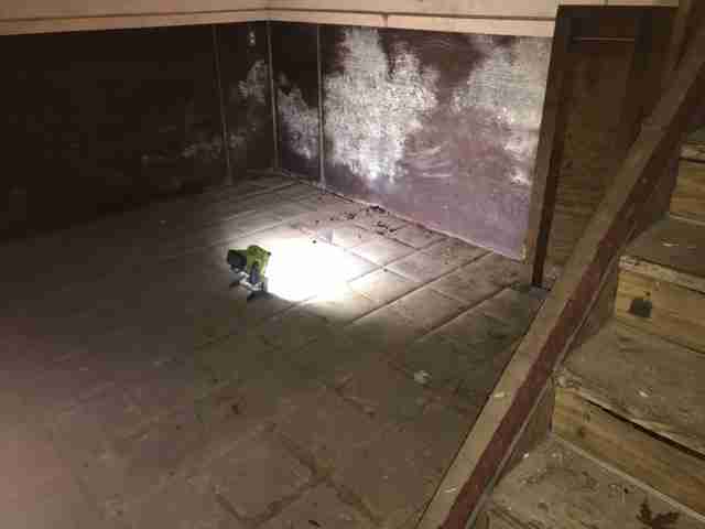 Testing again(24).jpg